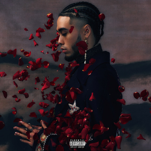 少年阿宾沈娜娜
