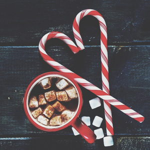 亚洲日本在线观看视频
