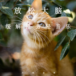 少年阿宾沈娜娜
